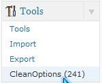 Tools Clean Options